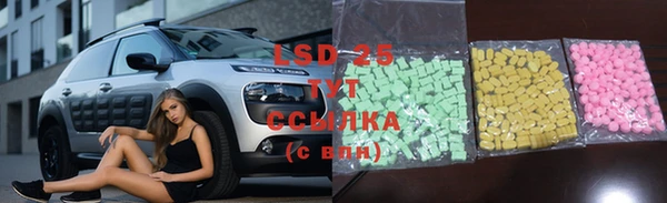 PSILOCYBIN Наволоки