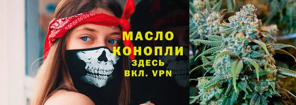 сатива Гусиноозёрск