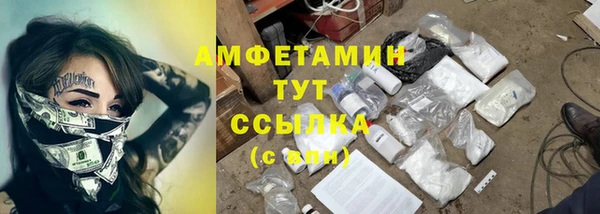сатива Гусиноозёрск